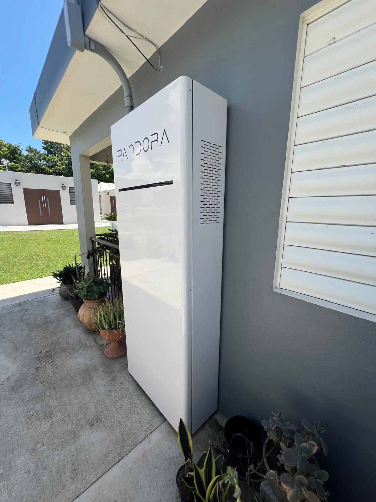 WhatsApp Image 2026-01-13 at 10.01.52 AM